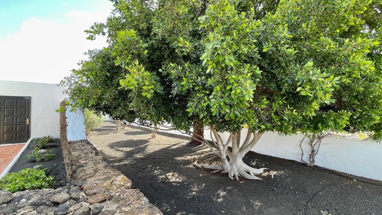 Villa Estefania Πλάγια Μπλάνκα Εξωτερικό φωτογραφία